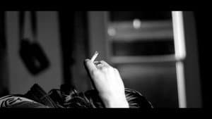 Echoes Of Ivory — foto 4
