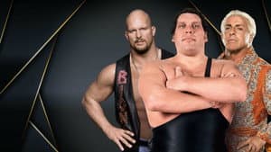 WWE Hall of Fame 2004 — foto 1