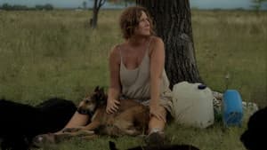La mujer de los perros — foto 9