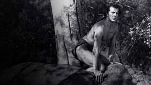 Tarzan and the Green Goddess — foto 2