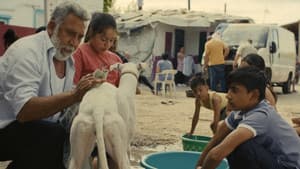 Ciudad sin sueño — foto 1