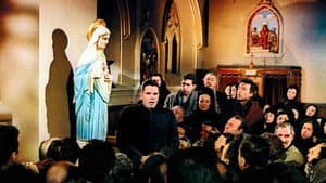 El cardenal — foto 3