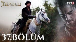 Episodio 11