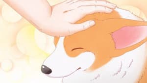 殿と犬 — foto 1