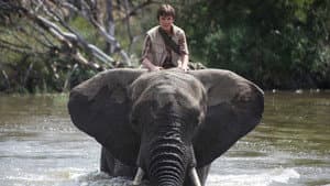 An Elephant's Journey — foto 3