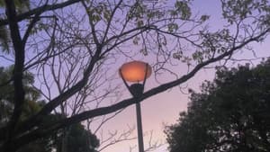 lixo sentimental — foto 1