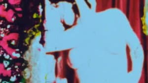 The Color of Love — foto 4