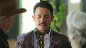 Incomprendido romance