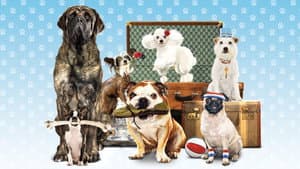 Hotel para Perros — foto 8