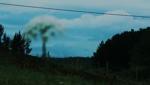 Tiempo Pasado — foto 4