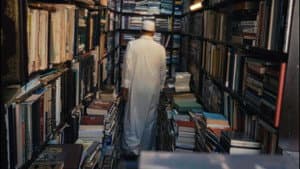 فاكس — foto 4