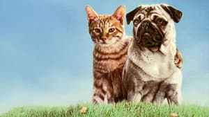 Las aventuras de Milo y Otis — foto 9