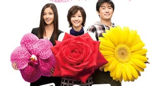 チャンス!〜彼女が成功した理由〜 — foto 1