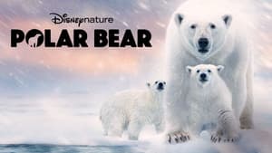 Osa Polar — foto 6