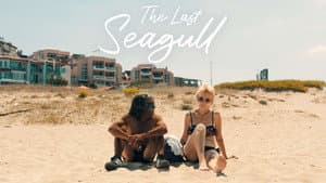 The Last Seagull — foto 1