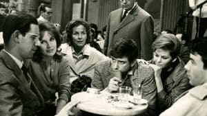 I delfini — foto 1