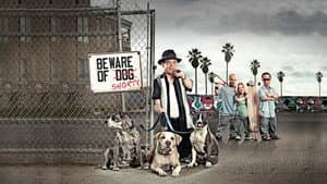 Pit Boss — foto 2