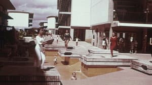 Écoutez le battement de nos images — foto 2