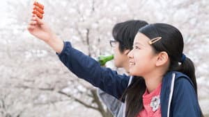彼らが本気で編むときは、 — foto 3