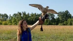 Mein Falke — foto 1