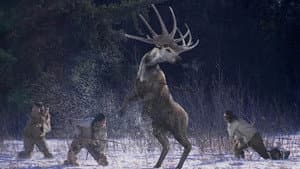 Episodio 6