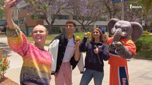 Episodio 7