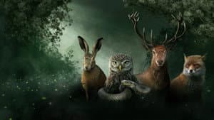 Onze Natuur, De Film — foto 7