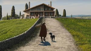 Fullmetal Alchemist: La venganza de cicatriz — foto 12