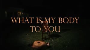 What Is My Body To You? — foto 1