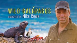 Wild Galápagos — foto 3