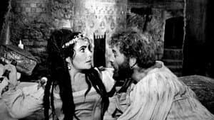 The Taming of the Shrew — foto 8