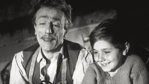 L'uomo dai calzoni corti — foto 1
