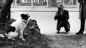 1966: Who Stole The World Cup? — foto 1