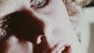 The Silent Cry — foto 1