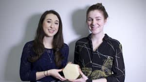 FIT Hives: Sustainability - The Secret to Survival — foto 1