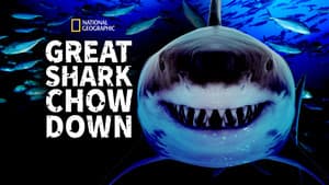 Great Shark Chow Down — foto 5
