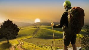 Compostelle, le chemin de la vie — foto 1
