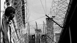 Le Prix De La Liberté — foto 1