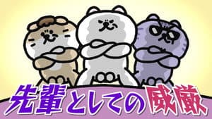 Episodio 30
