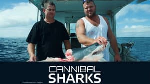 Cannibal Sharks — foto 4