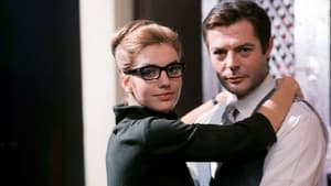 Oggi, domani, dopodomani — foto 1