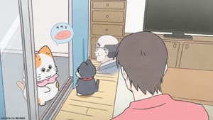 Episodio 31