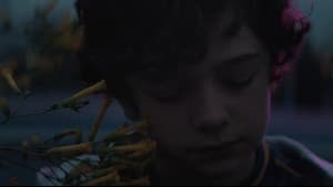 Honey Boy: un niño encantador — foto 9