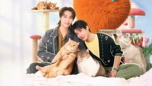 เปย์รักด้วยแมวเลี้ยง — foto 1