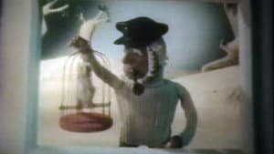 Āfrikas ola — foto 1