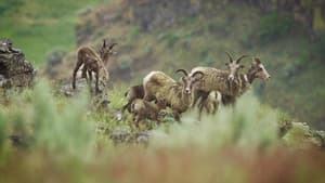 Wild & Wool — foto 3
