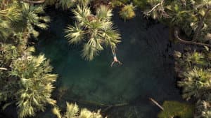 Rogue Trip — foto 10