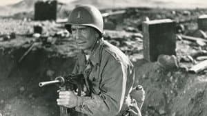 Target Zero — foto 1