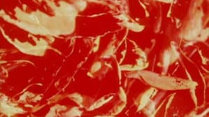 Bark-Rind — foto 4