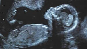 Quiero ser tu madre — foto 11